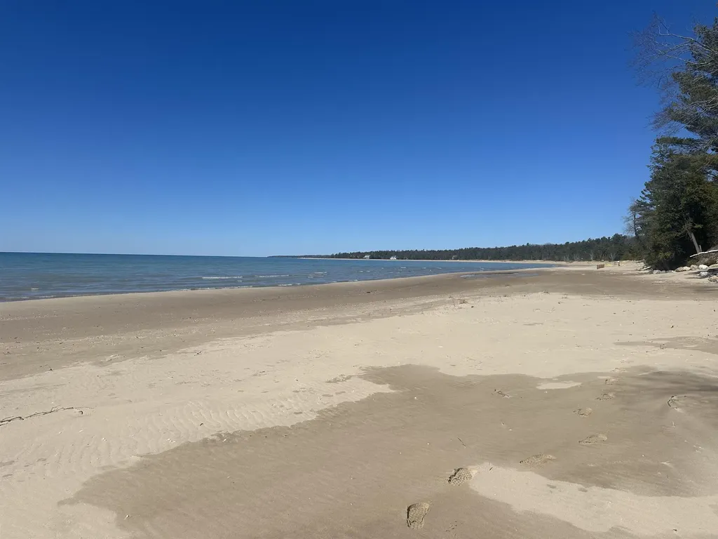 1995 San Marino Trail Torch Lake Township MI 49648