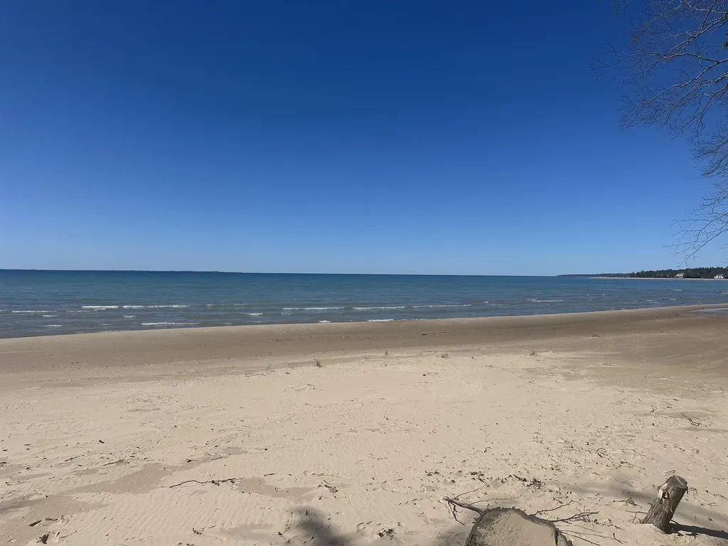 1995 San Marino Trail Torch Lake Township MI 49648