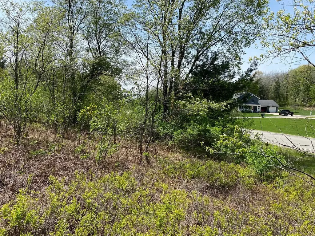 Crestview Drive Clam Lake Township MI 49601