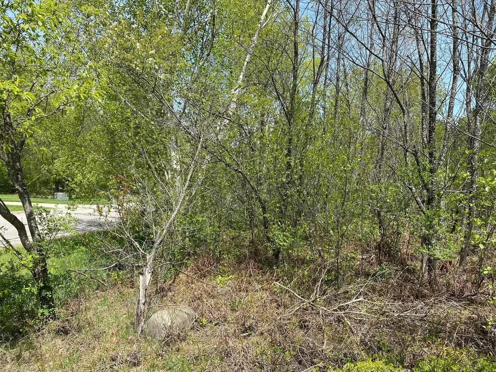 Crestview Drive Clam Lake Township MI 49601