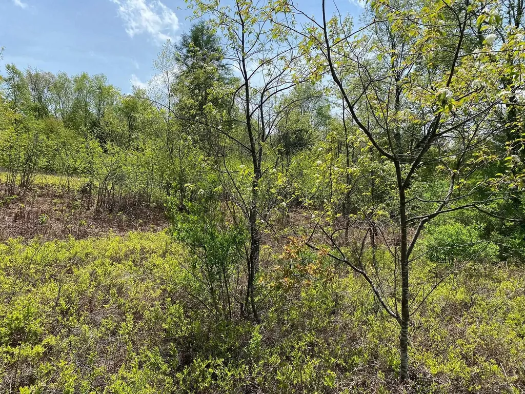 Crestview Drive Clam Lake Township MI 49601