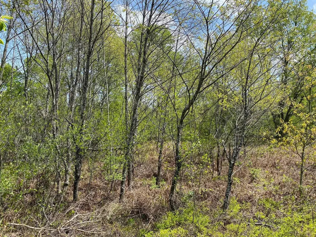 Crestview Drive Clam Lake Township MI 49601