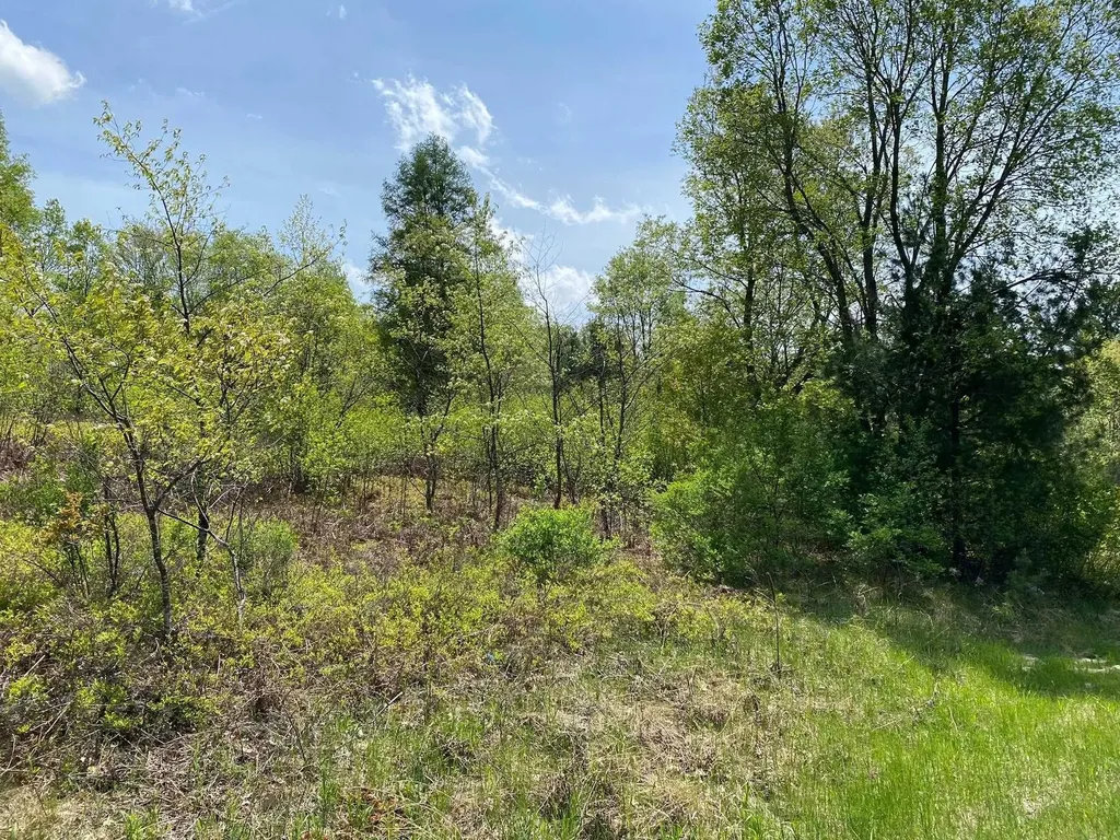 Crestview Drive Clam Lake Township MI 49601