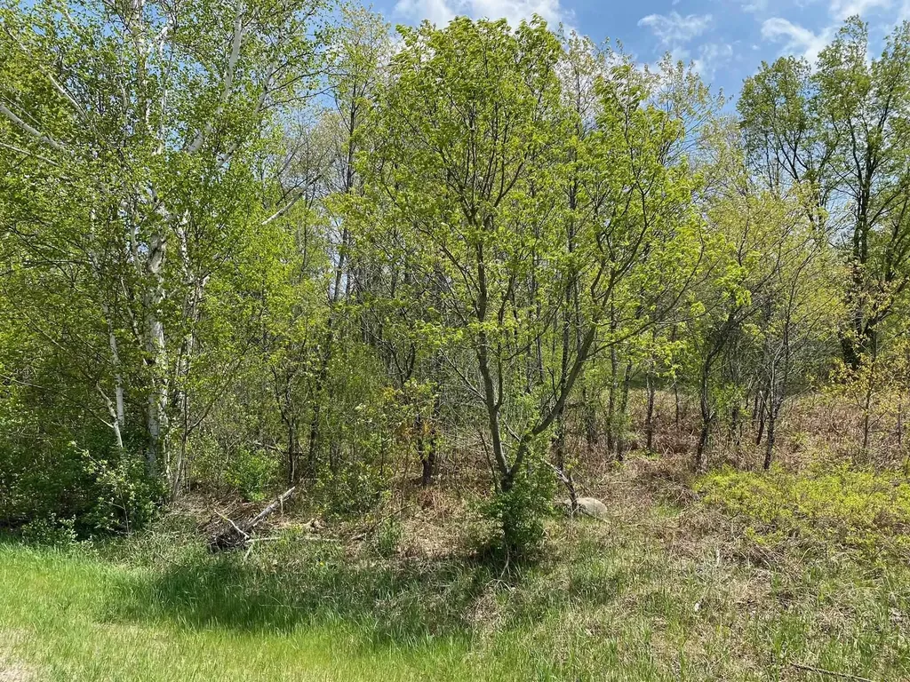 Crestview Drive Clam Lake Township MI 49601