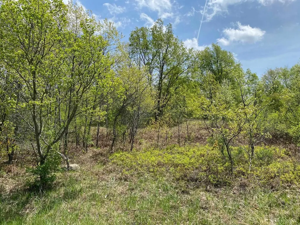Crestview Drive Clam Lake Township MI 49601