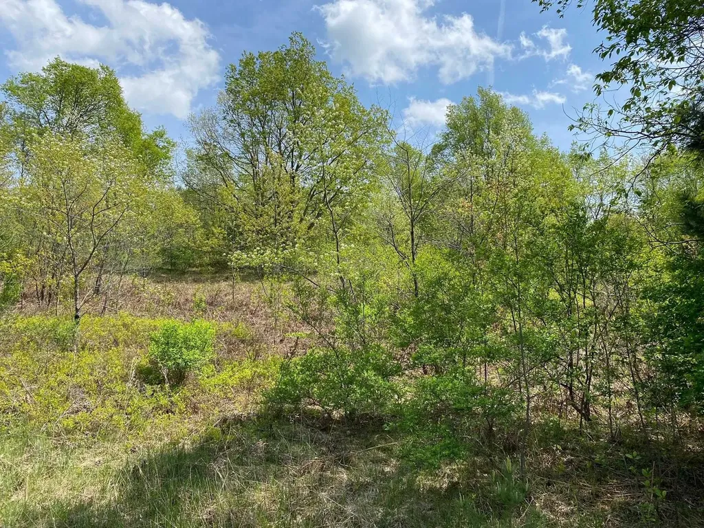 Crestview Drive Clam Lake Township MI 49601