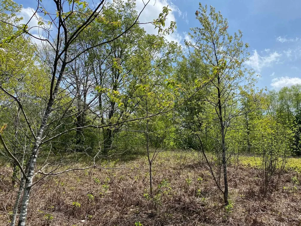 Crestview Drive Clam Lake Township MI 49601