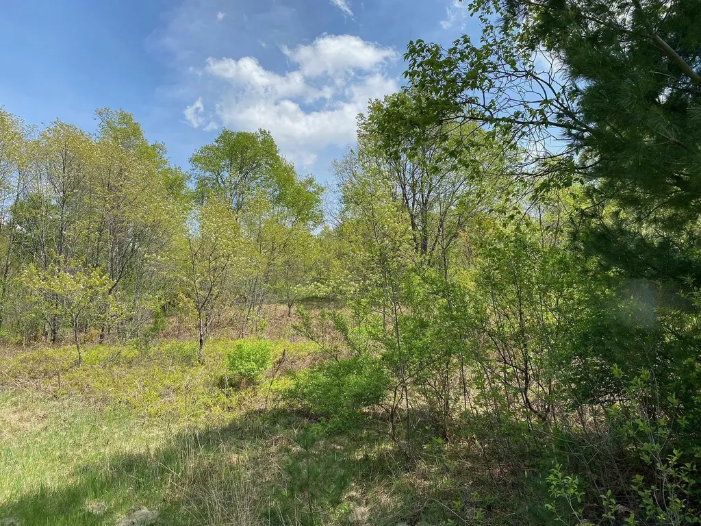 Crestview Drive Clam Lake Township MI 49601
