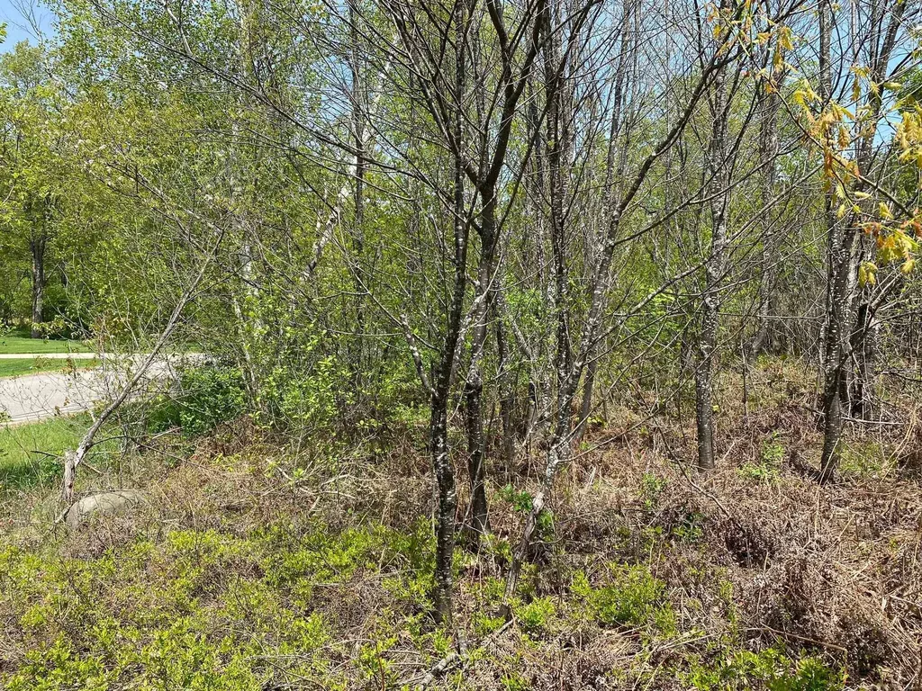 Crestview Drive Clam Lake Township MI 49601