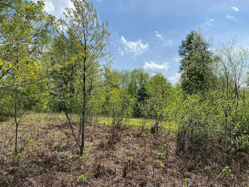 Crestview Drive Clam Lake Township MI 49601