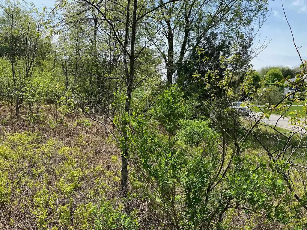 Crestview Drive Clam Lake Township MI 49601