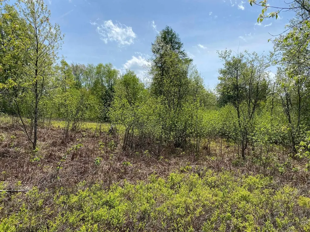 Crestview Drive Clam Lake Township MI 49601