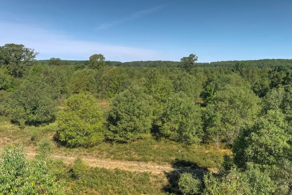 E 34 Road Haring Charter Township MI 49601