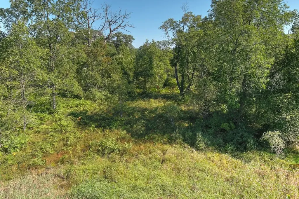 E 34 Road Haring Charter Township MI 49601