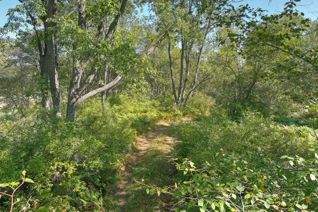 E 34 Road Haring Charter Township MI 49601