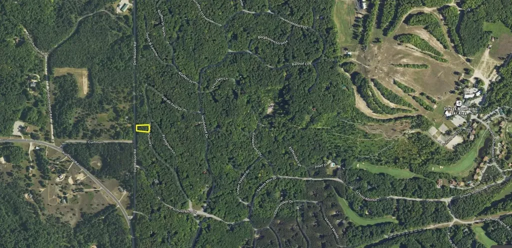 Lot 38 Courchevel Lane Custer Township MI 49615