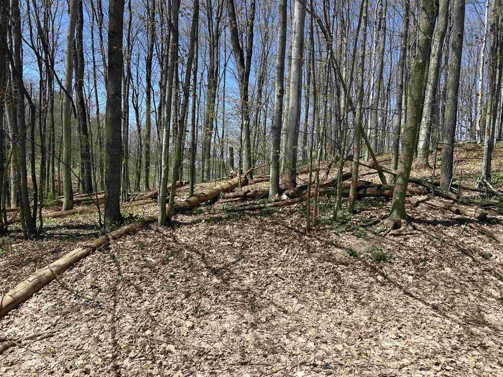 Lot 38 Courchevel Lane Custer Township MI 49615