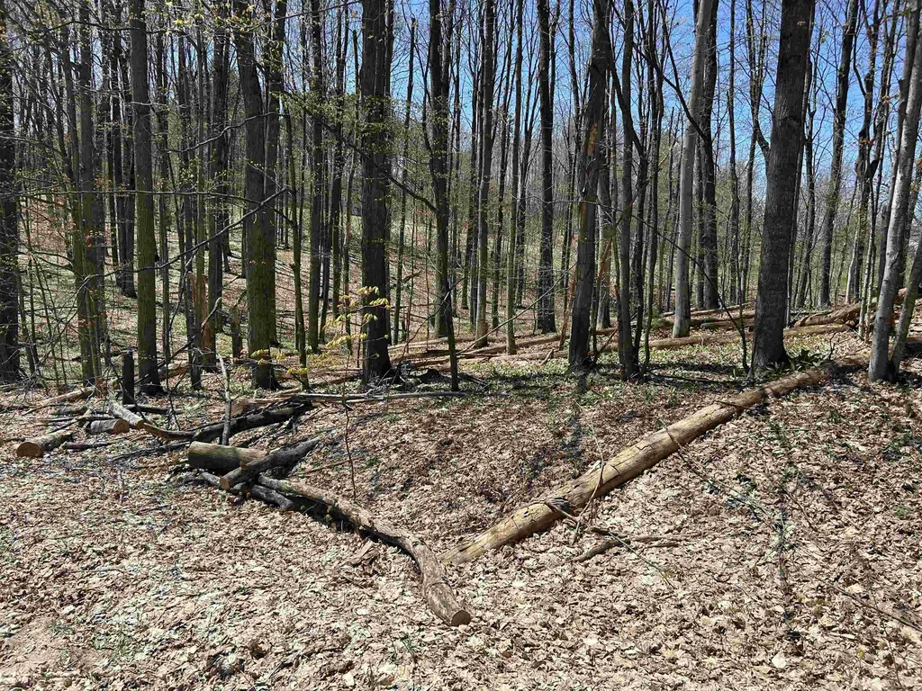 Lot 38 Courchevel Lane Custer Township MI 49615