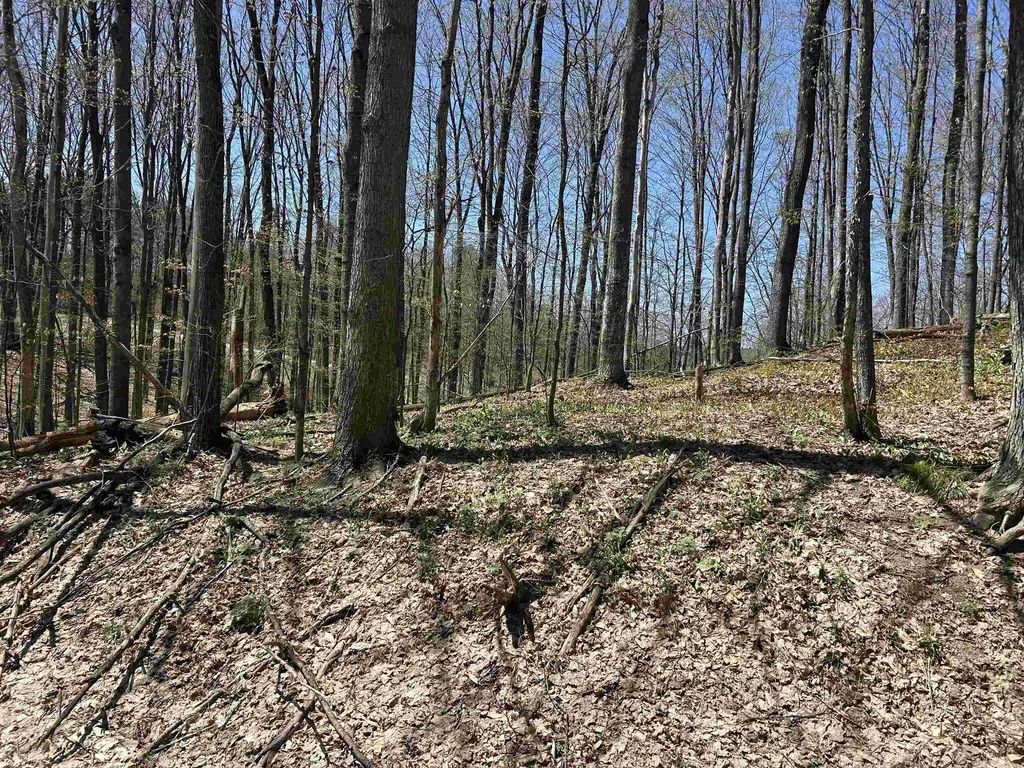 Lot 38 Courchevel Lane Custer Township MI 49615