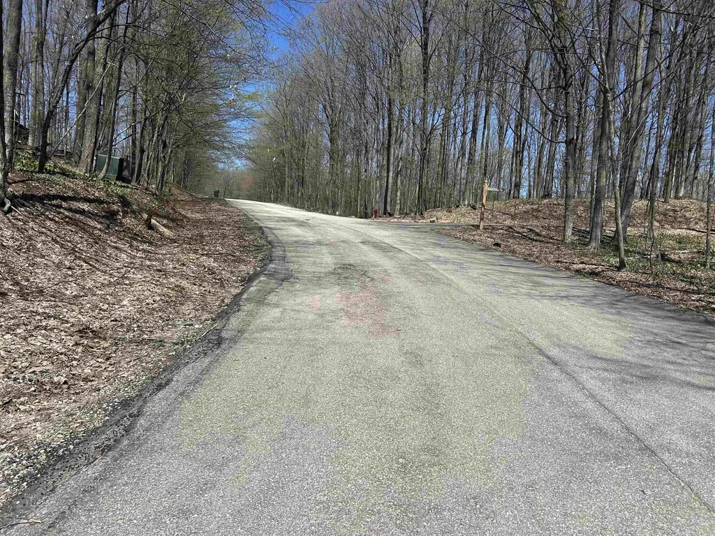 Lot 38 Courchevel Lane Custer Township MI 49615