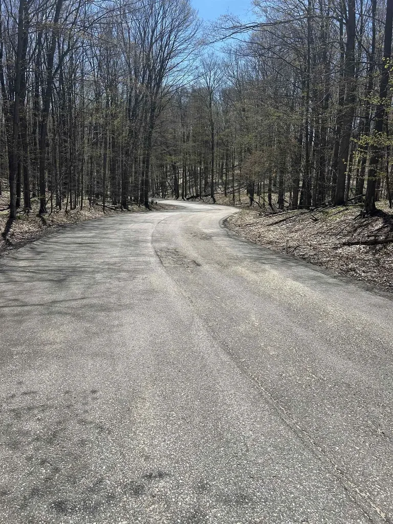 Lot 38 Courchevel Lane Custer Township MI 49615