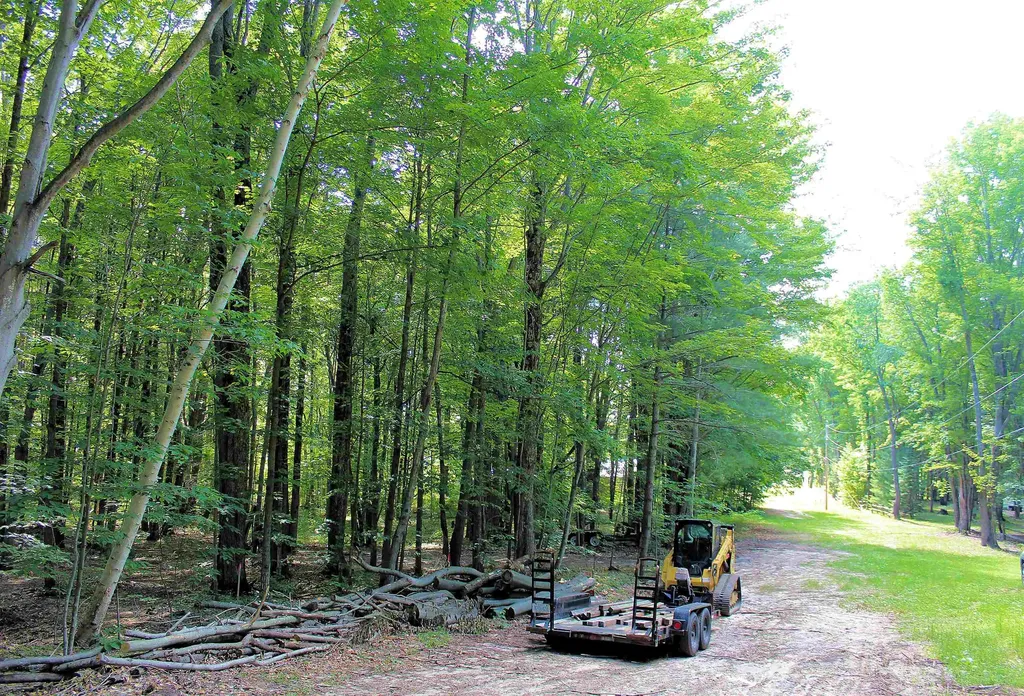 00 NE Chwastek Road Coldsprings Township MI 49646