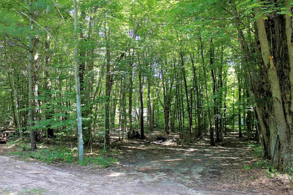 00 NE Chwastek Road Coldsprings Township MI 49646