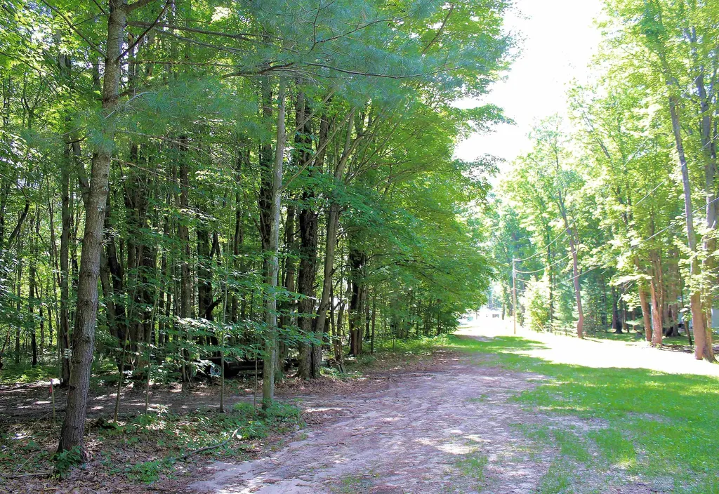 00 NE Chwastek Road Coldsprings Township MI 49646