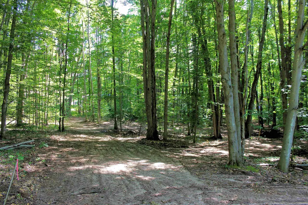 00 NE Chwastek Road Coldsprings Township MI 49646