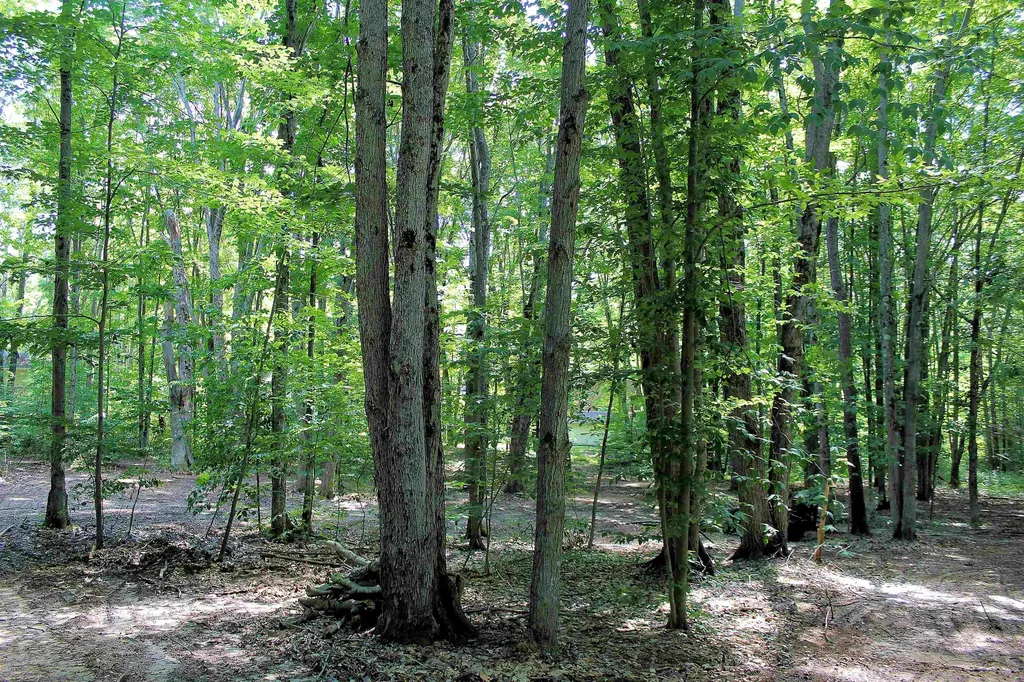 00 NE Chwastek Road Coldsprings Township MI 49646