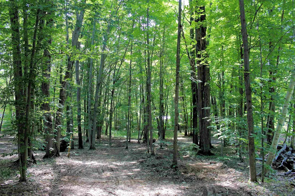 00 NE Chwastek Road Coldsprings Township MI 49646