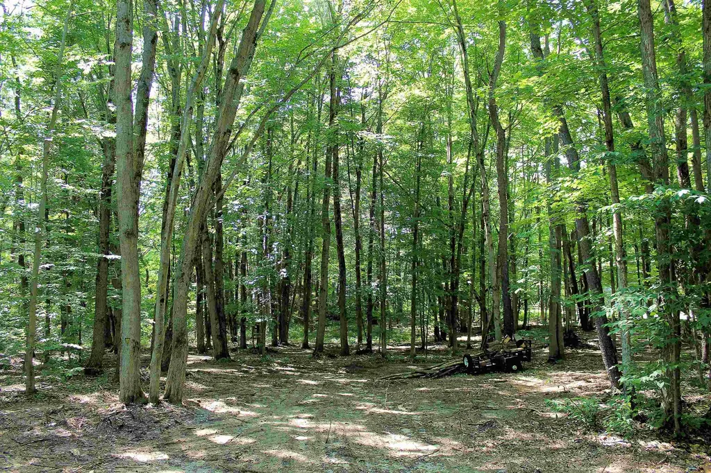 00 NE Chwastek Road Coldsprings Township MI 49646