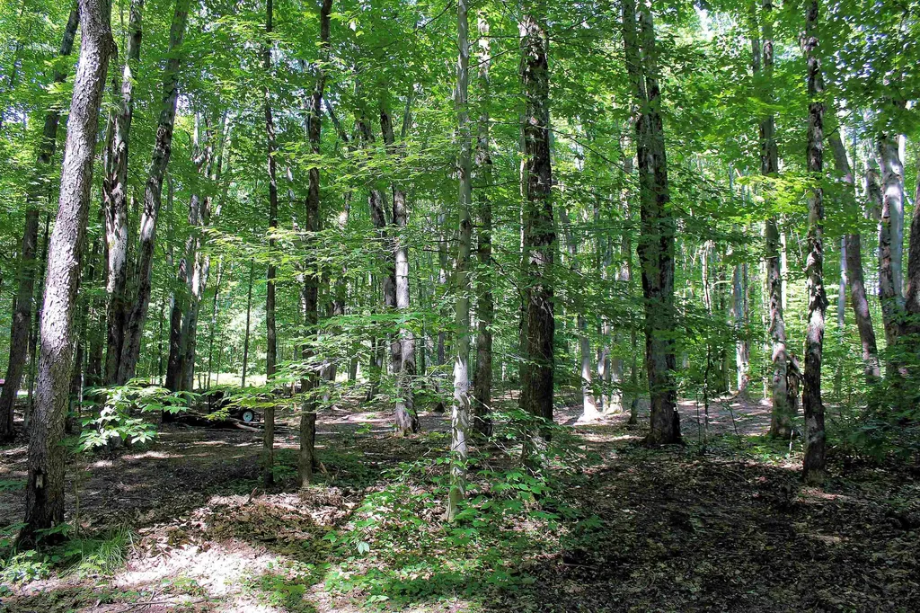00 NE Chwastek Road Coldsprings Township MI 49646