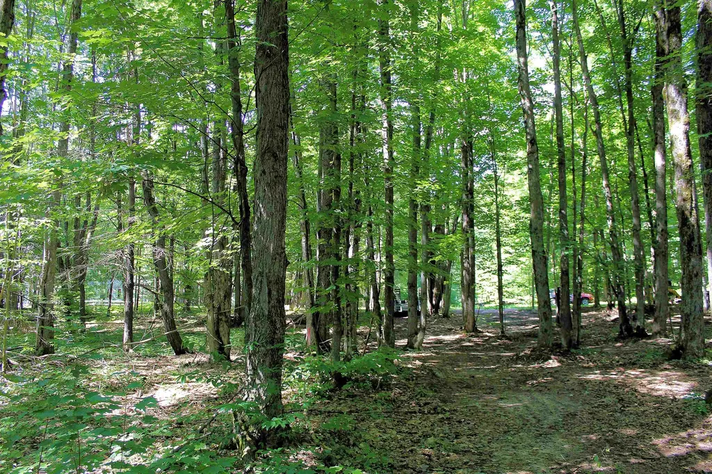 00 NE Chwastek Road Coldsprings Township MI 49646