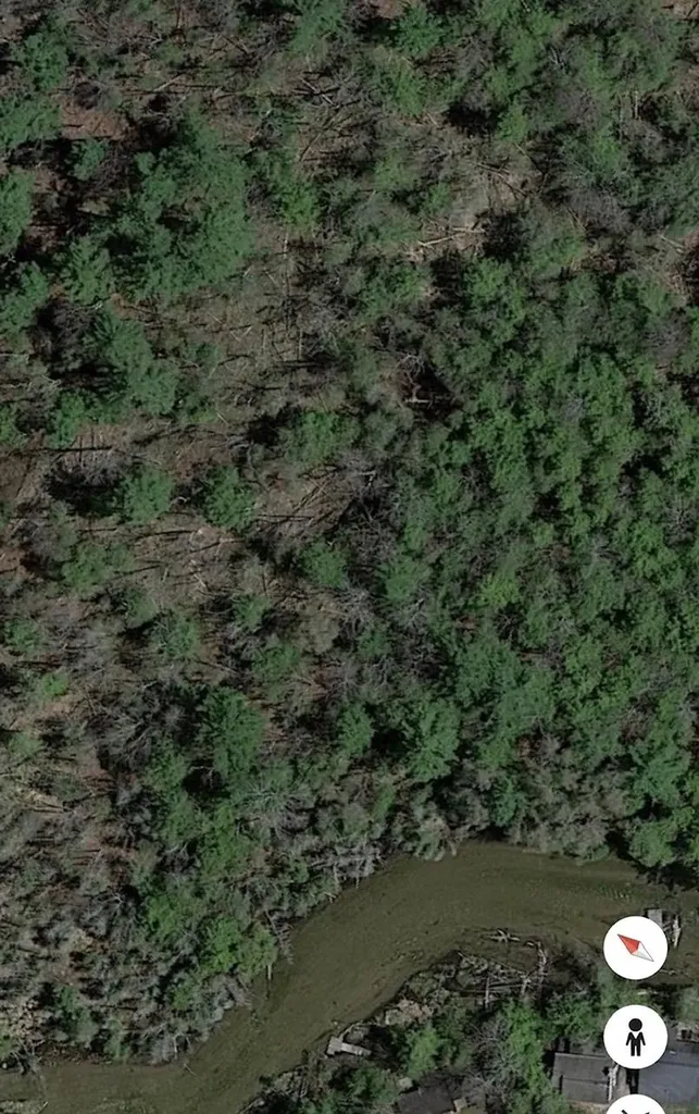 000 Pioneer Road Homestead Township MI 49640