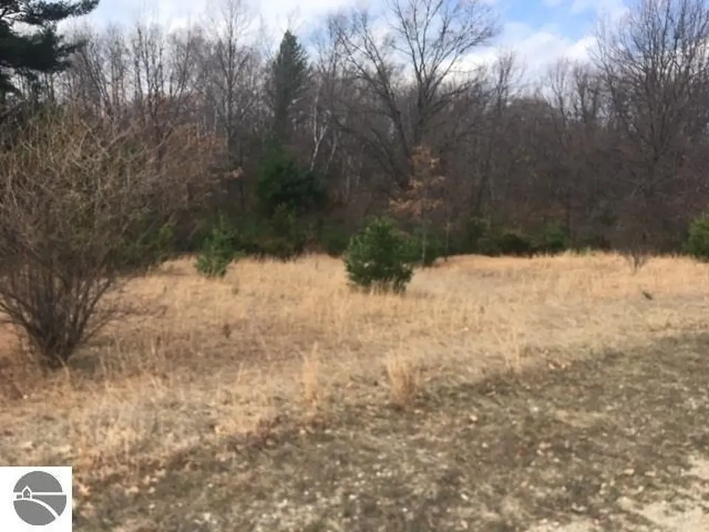Lot 27 Alden Meadows Helena Township MI 49612