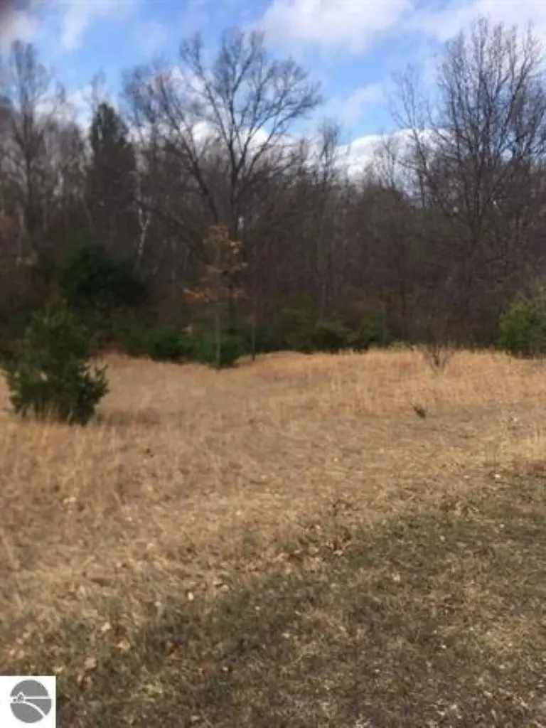 Lot 27 Alden Meadows Helena Township MI 49612