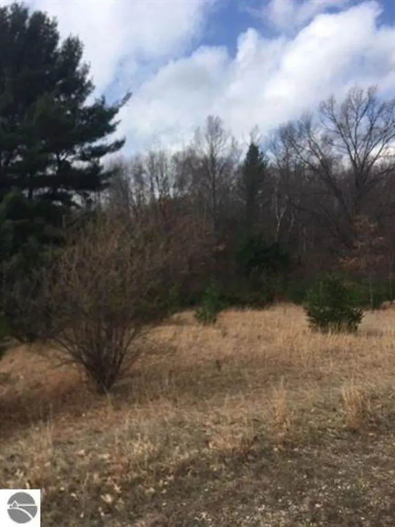 Lot 27 Alden Meadows Helena Township MI 49612