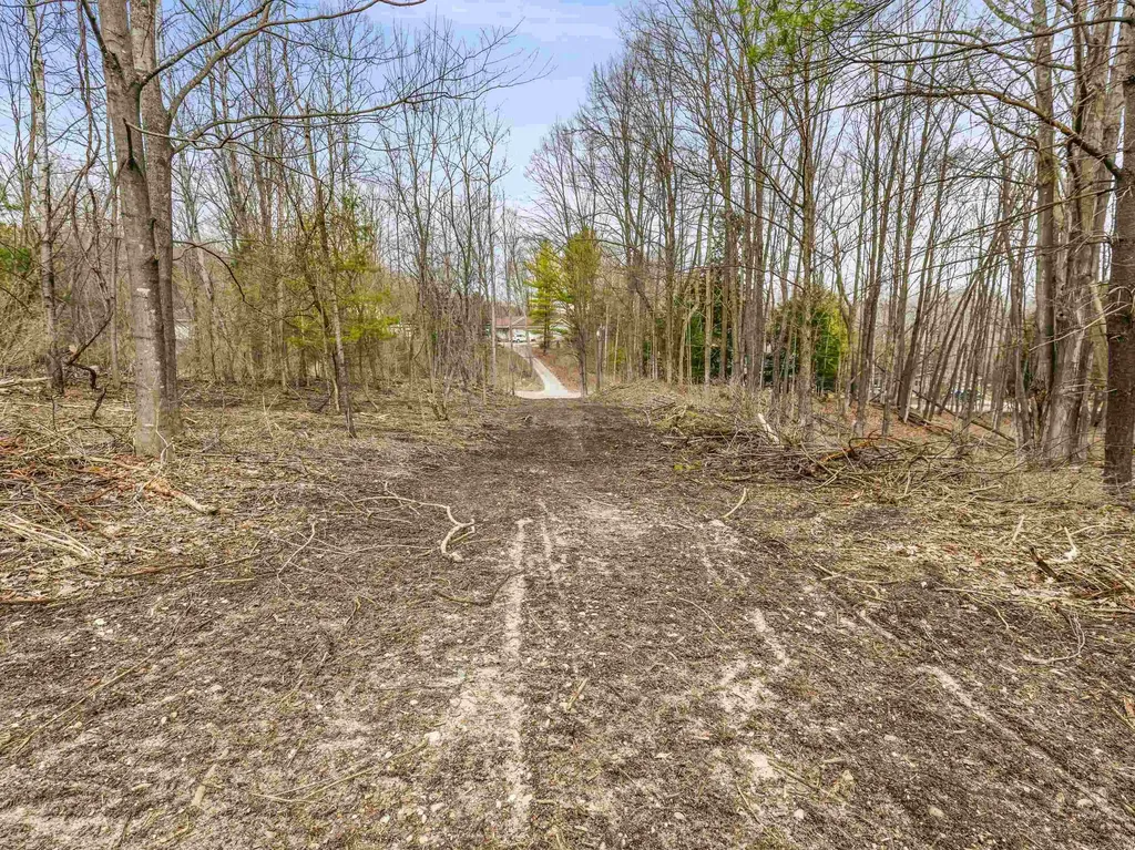 00 River Street Benzonia Township MI 49616