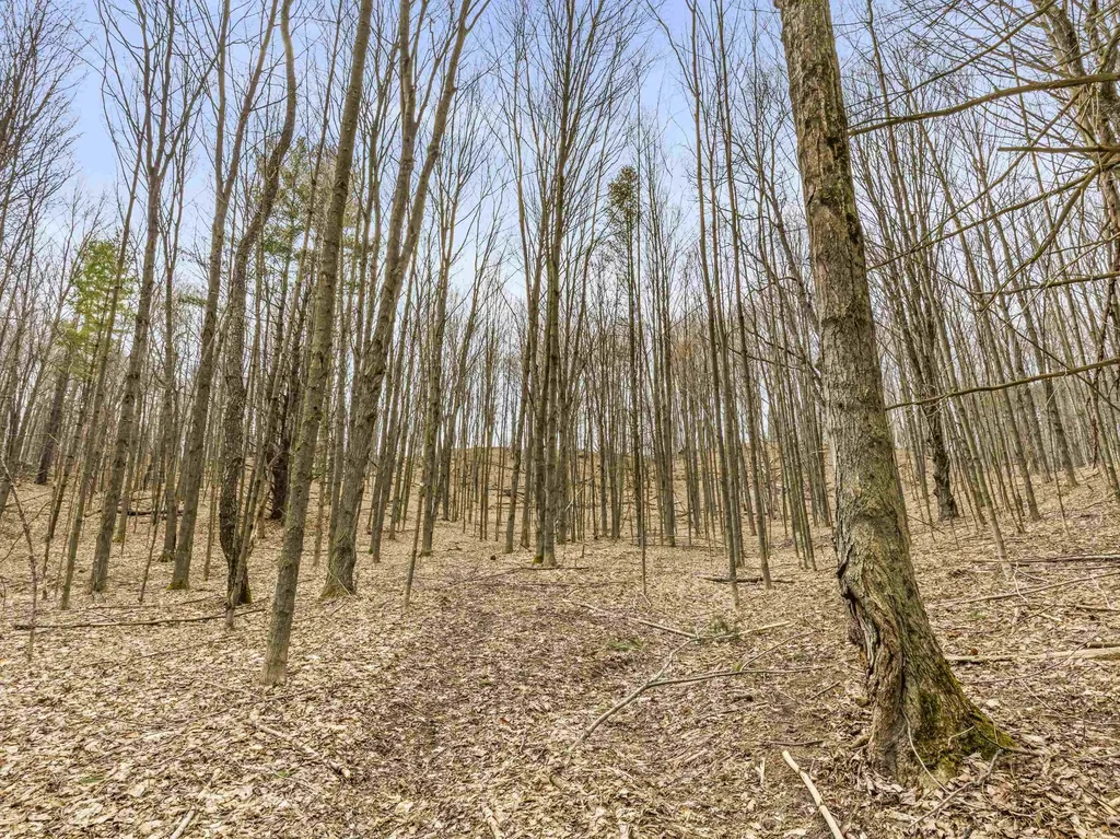 00 River Street Benzonia Township MI 49616