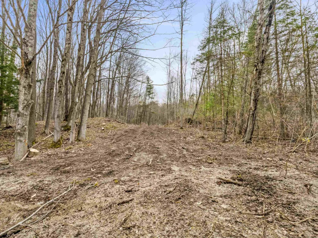 00 River Street Benzonia Township MI 49616
