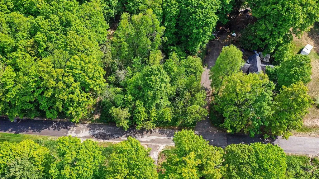 00 River Street Benzonia Township MI 49616