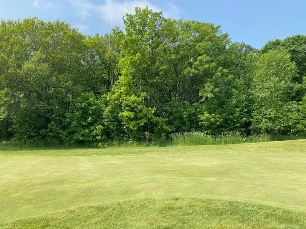 # 8 Mooney Way Torch Lake Township MI 49648