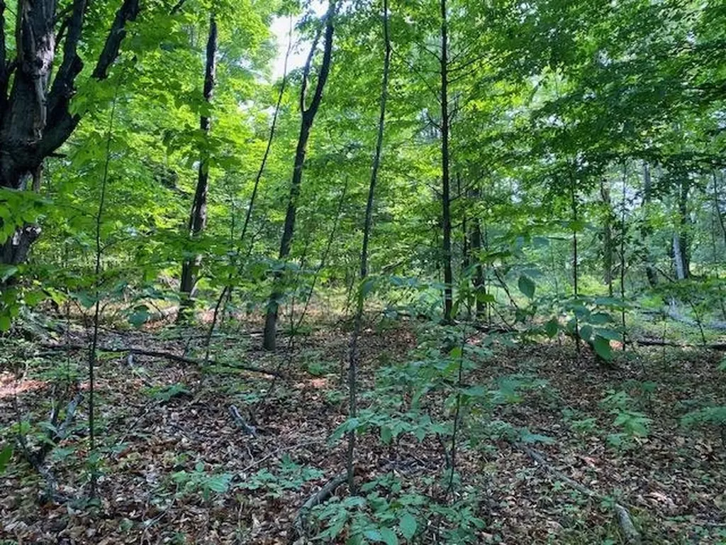# 8 Mooney Way Torch Lake Township MI 49648