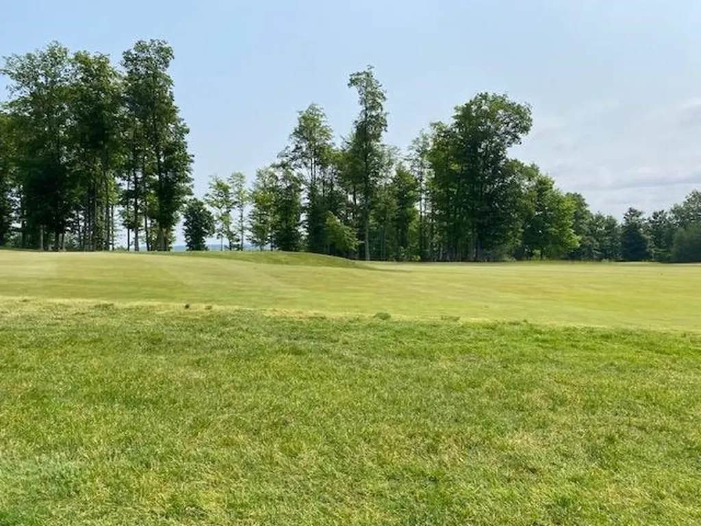 # 8 Mooney Way Torch Lake Township MI 49648