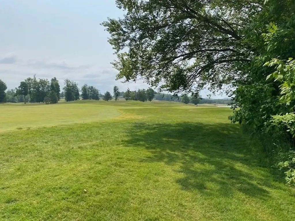 # 8 Mooney Way Torch Lake Township MI 49648