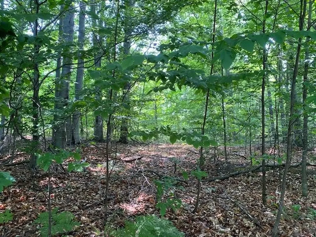 # 8 Mooney Way Torch Lake Township MI 49648