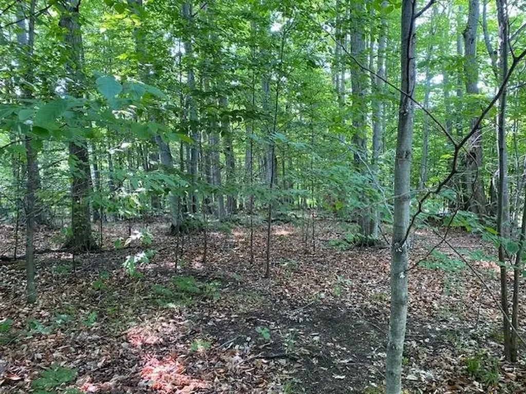 # 8 Mooney Way Torch Lake Township MI 49648
