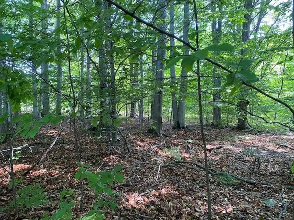 # 8 Mooney Way Torch Lake Township MI 49648