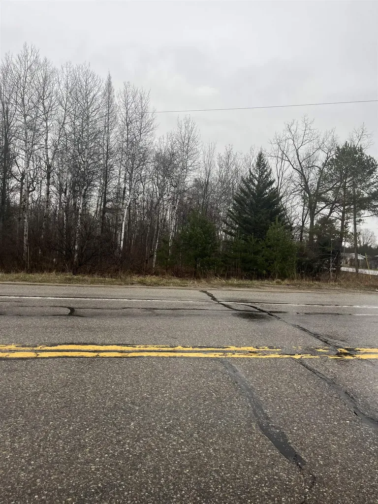 0 N Michigan Avenue Cedar Creek Township MI 49663